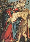 Sandro Botticelli Madonna and Child with the Young St john or Madonna of the Rose Garden (mk36) oil